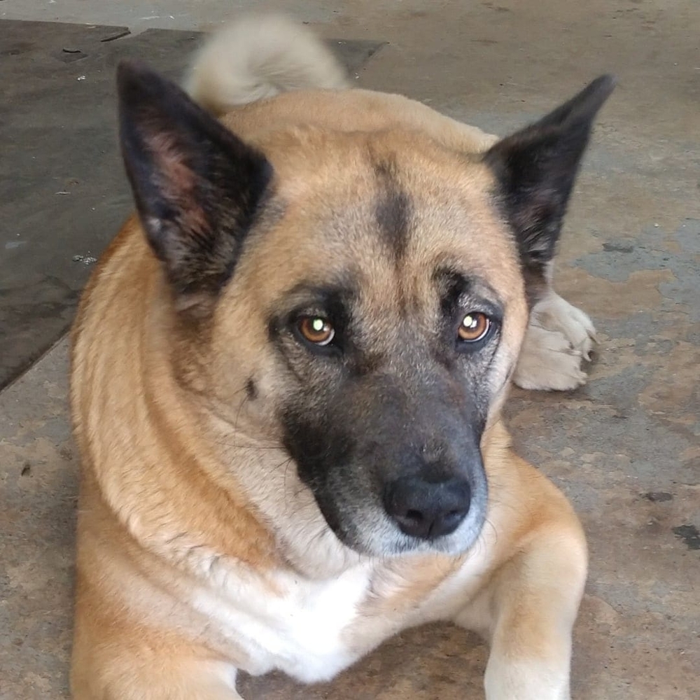 Meet your Posher, Melanie